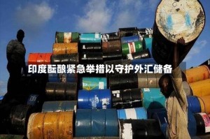 印度酝酿紧急举措以守护外汇储备