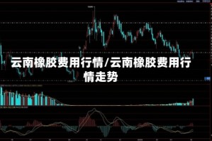 云南橡胶费用行情/云南橡胶费用行情走势