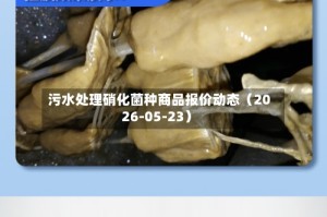 污水处理硝化菌种商品报价动态（2026-05-23）