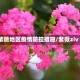紫薇地区疫情防控措施/紫薇ziv