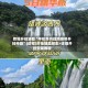 教程开挂辅助“手机贵州捉鸡麻将开挂神器”(透视)开挂辅助脚本+详细开挂安装教程