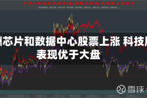 欧洲芯片和数据中心股票上涨 科技股表现优于大盘