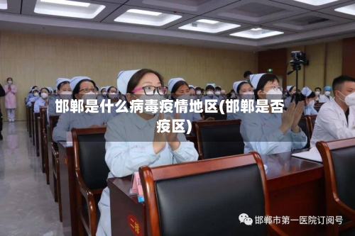 邯郸是什么病毒疫情地区(邯郸是否疫区)-第1张图片