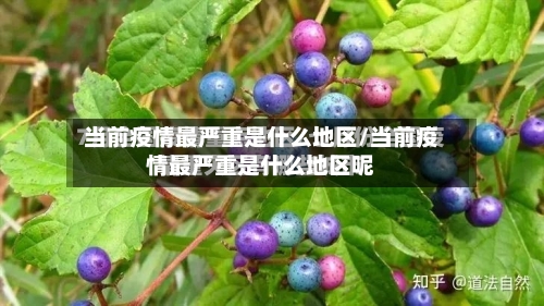 当前疫情最严重是什么地区/当前疫情最严重是什么地区呢-第1张图片