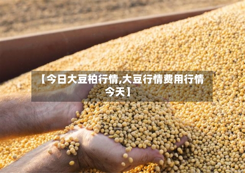 【今日大豆柏行情,大豆行情费用行情今天】-第1张图片