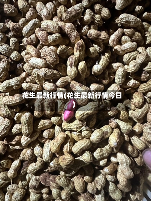 花生最新行情(花生最新行情今日)-第1张图片