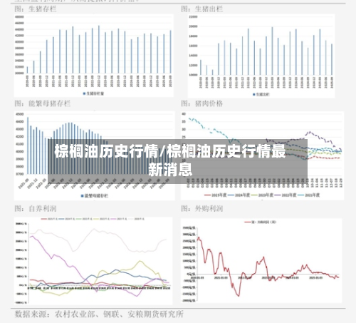 棕榈油历史行情/棕榈油历史行情最新消息-第1张图片