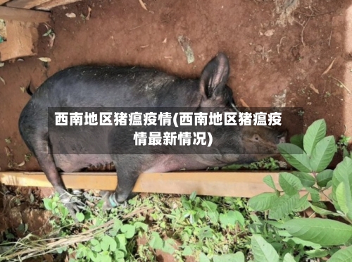 西南地区猪瘟疫情(西南地区猪瘟疫情最新情况)-第1张图片