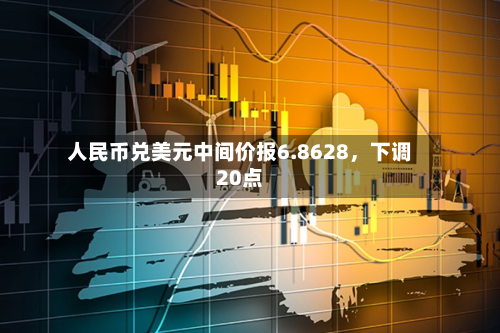 人民币兑美元中间价报6.8628，下调20点-第1张图片