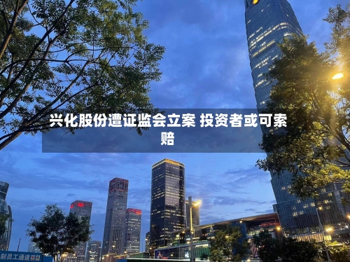 兴化股份遭证监会立案 投资者或可索赔-第1张图片