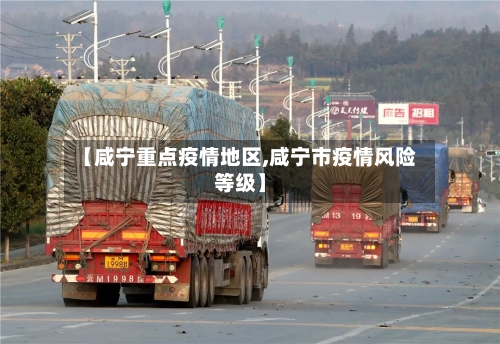 【咸宁重点疫情地区,咸宁市疫情风险等级】-第1张图片