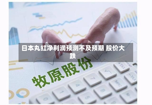 日本丸红净利润预测不及预期 股价大跌-第1张图片