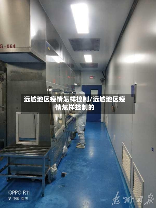 远城地区疫情怎样控制/远城地区疫情怎样控制的-第1张图片
