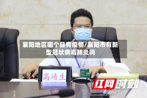 襄阳地区哪个县有疫情/襄阳市有新型冠状病毒肺炎吗-第1张图片