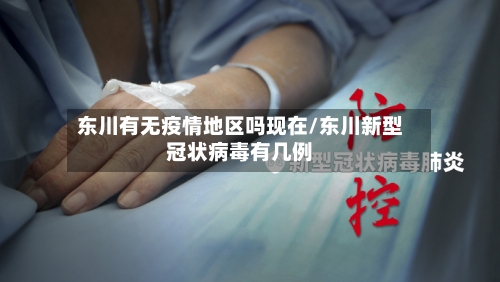 东川有无疫情地区吗现在/东川新型冠状病毒有几例-第1张图片