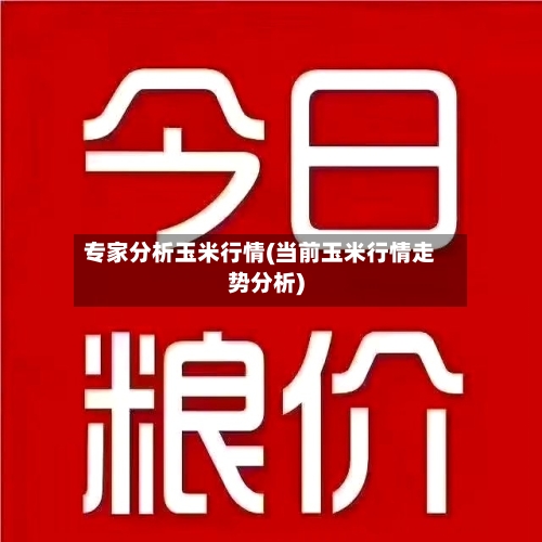 专家分析玉米行情(当前玉米行情走势分析)-第1张图片