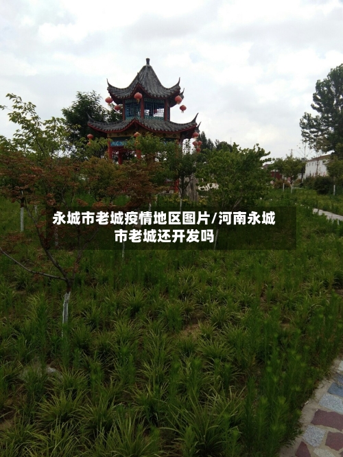 永城市老城疫情地区图片/河南永城市老城还开发吗-第1张图片