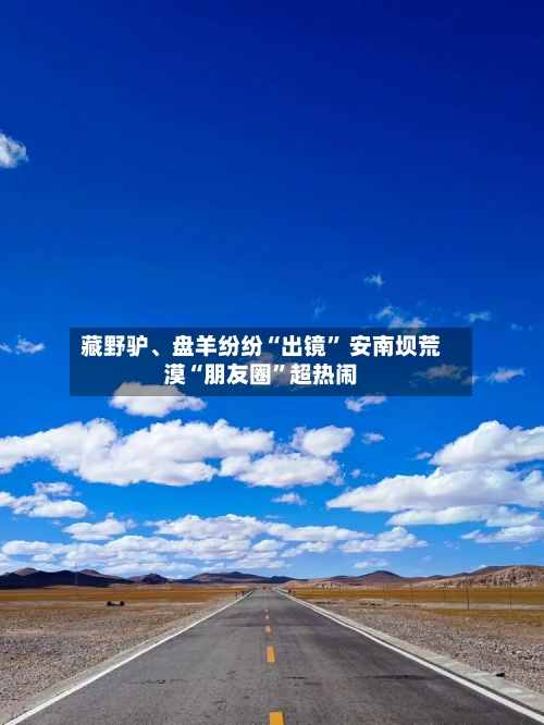 藏野驴、盘羊纷纷“出镜	” 安南坝荒漠“朋友圈”超热闹-第1张图片