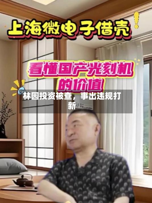 林园投资被查，事出违规打新-第1张图片