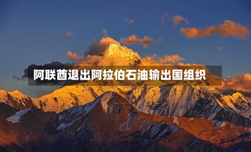 阿联酋退出阿拉伯石油输出国组织-第1张图片