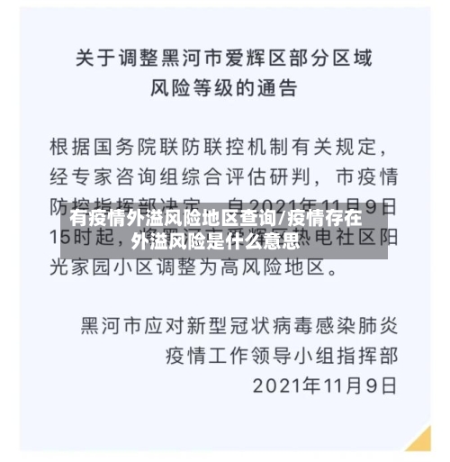有疫情外溢风险地区查询/疫情存在外溢风险是什么意思-第1张图片