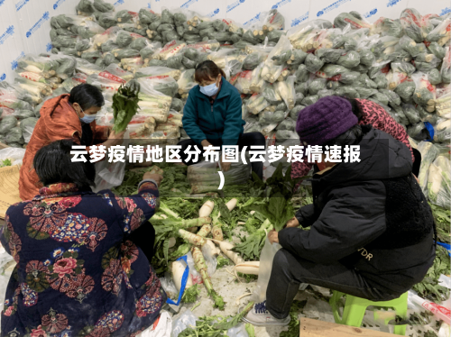 云梦疫情地区分布图(云梦疫情速报)-第1张图片