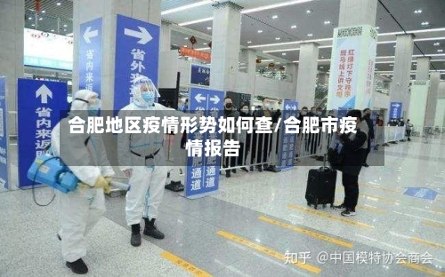 合肥地区疫情形势如何查/合肥市疫情报告-第1张图片