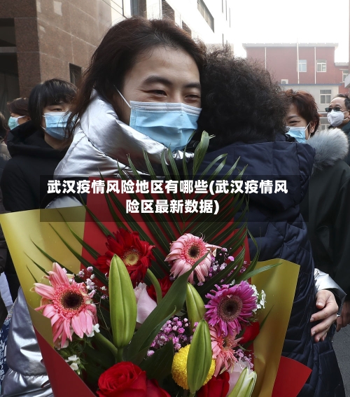 武汉疫情风险地区有哪些(武汉疫情风险区最新数据)-第1张图片