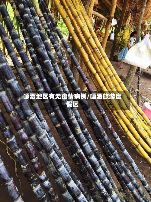 嘎洒地区有无疫情病例/嘎洒旅游度假区-第1张图片