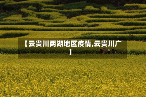 【云贵川两湖地区疫情,云贵川广】-第1张图片
