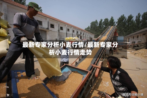 最新专家分析小麦行情/最新专家分析小麦行情走势-第1张图片