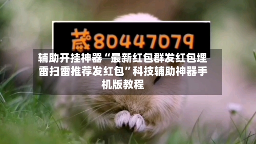 辅助开挂神器“最新红包群发红包埋雷扫雷推荐发红包”科技辅助神器手机版教程-第1张图片