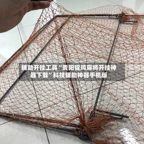 辅助开挂工具“贵阳捉鸡麻将开挂神器下载”科技辅助神器手机版-第1张图片