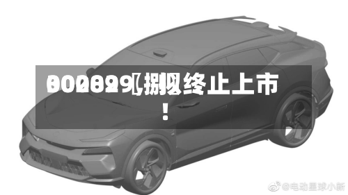 00289〖捌〗、300029，拟终止上市！-第1张图片