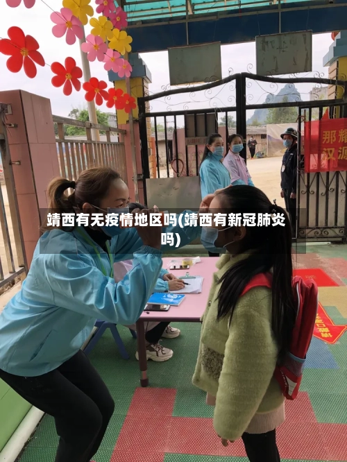 靖西有无疫情地区吗(靖西有新冠肺炎吗)-第1张图片