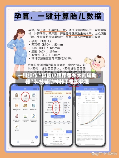 一键操作“微信小程序家乡大贰辅助器	”科技辅助神器手机版教程-第1张图片