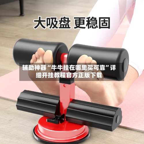 辅助神器“牛牛挂在哪里买可靠”详细开挂教程官方正版下载-第1张图片