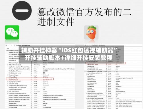辅助开挂神器“iOS红包透视辅助器”开挂辅助脚本+详细开挂安装教程-第1张图片