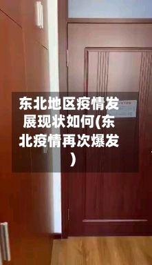 东北地区疫情发展现状如何(东北疫情再次爆发)-第1张图片