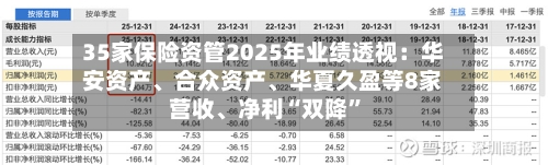 35家保险资管2025年业绩透视：华安资产、合众资产	、华夏久盈等8家营收、净利“双降”-第1张图片