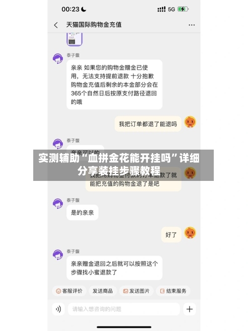 实测辅助“血拼金花能开挂吗”详细分享装挂步骤教程-第1张图片