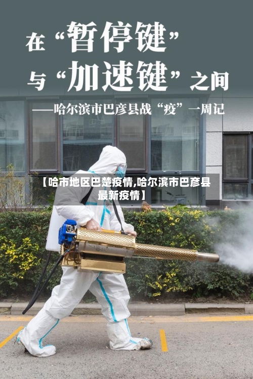 【哈市地区巴楚疫情,哈尔滨市巴彦县最新疫情】-第1张图片