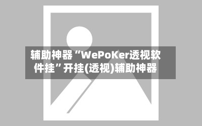 辅助神器“WePoKer透视软件挂	”开挂(透视)辅助神器-第1张图片