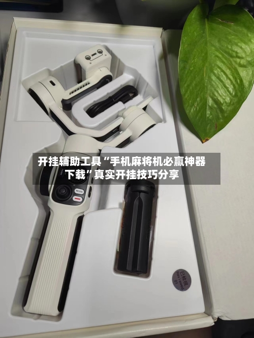 开挂辅助工具“手机麻将机必赢神器下载”真实开挂技巧分享-第1张图片
