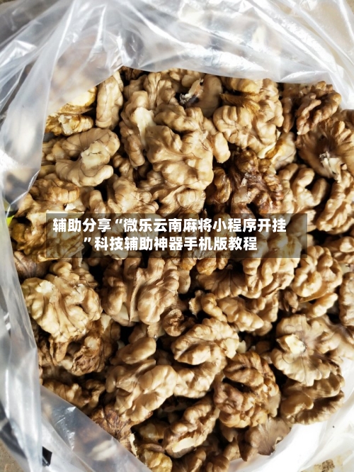 辅助分享“微乐云南麻将小程序开挂	”科技辅助神器手机版教程-第1张图片