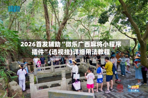 2026首发辅助“微乐广西麻将小程序插件	”(透视挂)详细用法教程-第1张图片