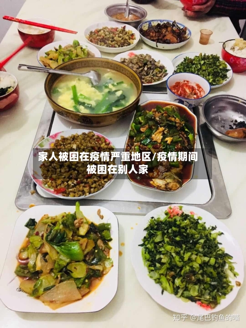 家人被困在疫情严重地区/疫情期间被困在别人家-第1张图片