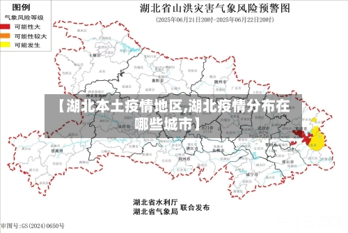 【湖北本土疫情地区,湖北疫情分布在哪些城市】-第1张图片