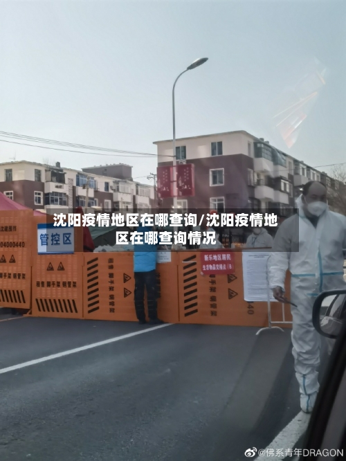 沈阳疫情地区在哪查询/沈阳疫情地区在哪查询情况-第1张图片