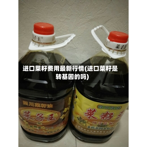 进口菜籽费用最新行情(进口菜籽是转基因的吗)-第1张图片